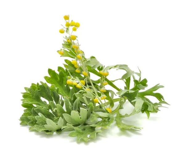 papilomu ārstēšana ar tradicionālām metodēm